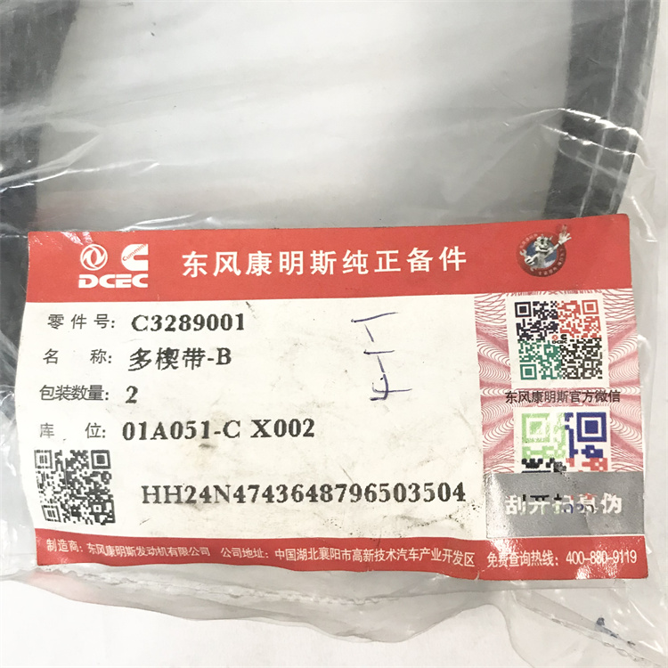 C3289001-4.jpg