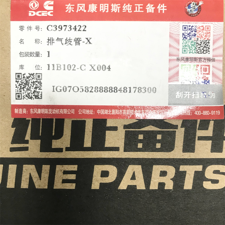 3973422-5.jpg