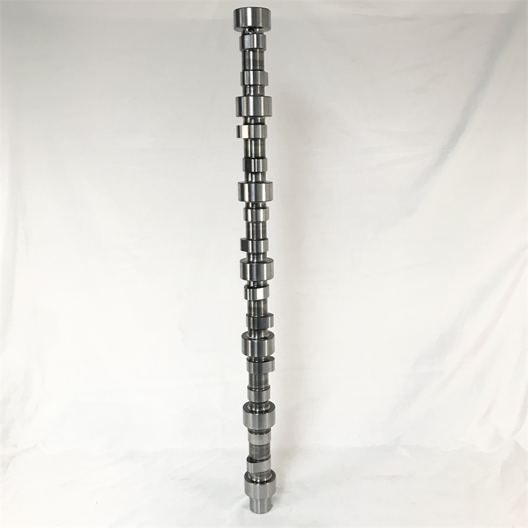 3976620-1.jpg