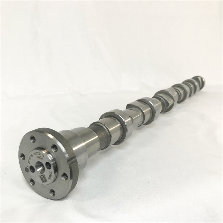 3979506-2.jpg