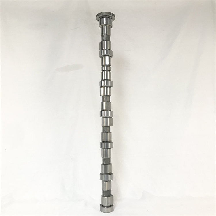 3979506-3.jpg