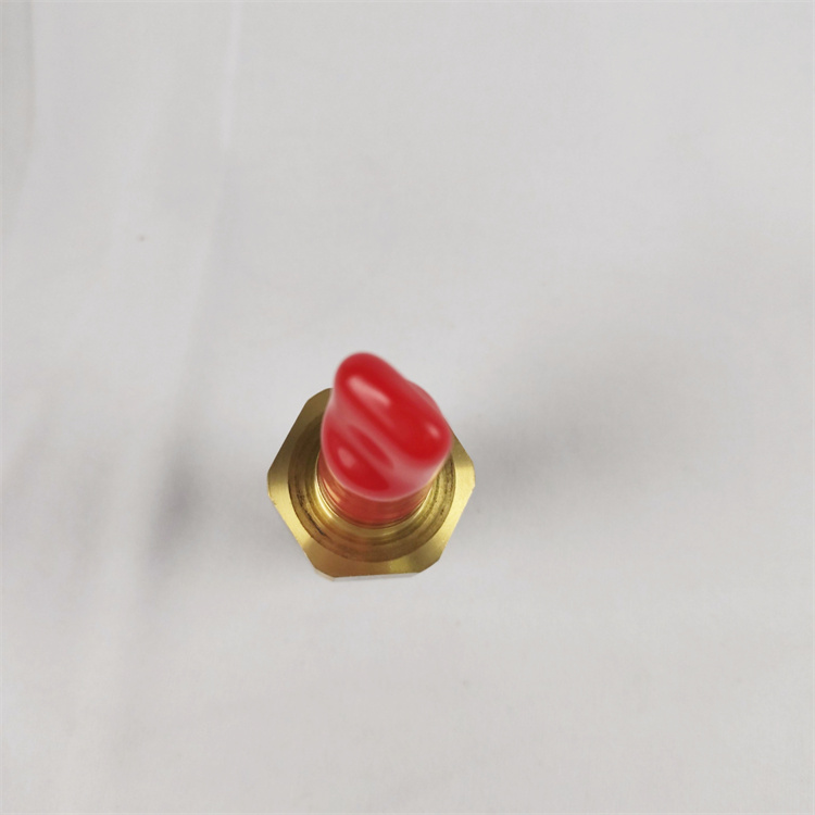 4921477-4.jpg