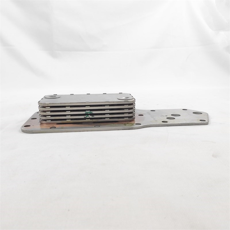 3957543-2.jpg