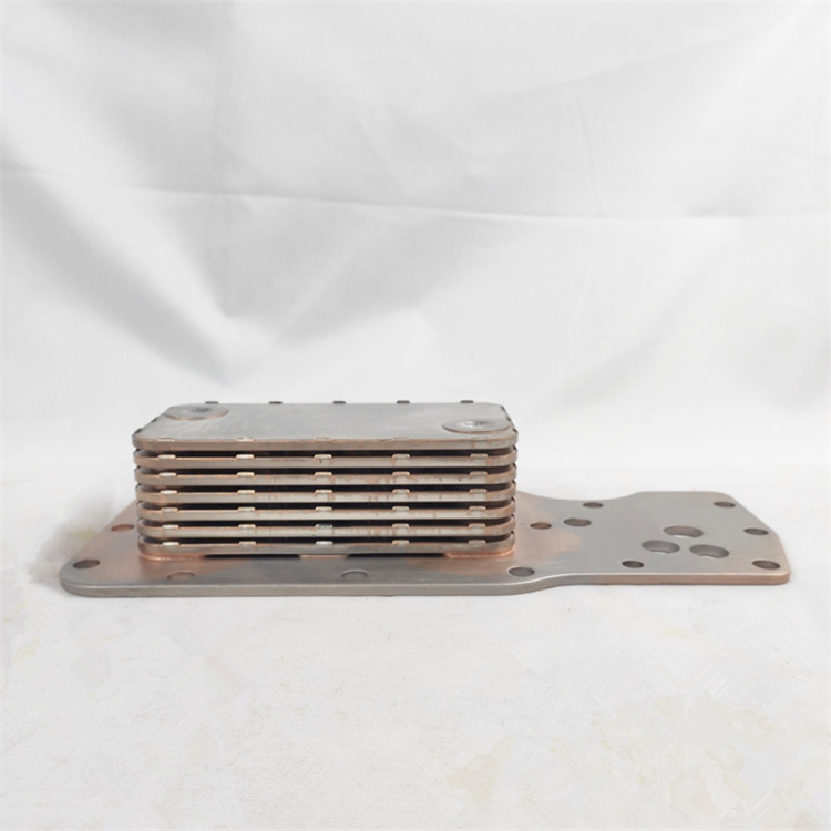 3959031-5.jpg